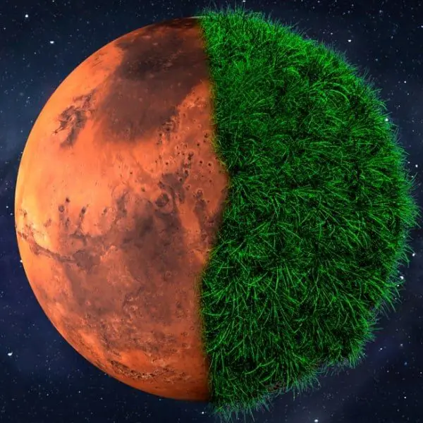 TON Planets Mars 🪐 — как превратить монеты BitAssetz в реальные деньги до листинга