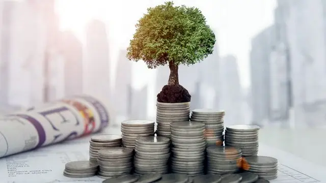 Советы по инвестированию в отрасль туризма