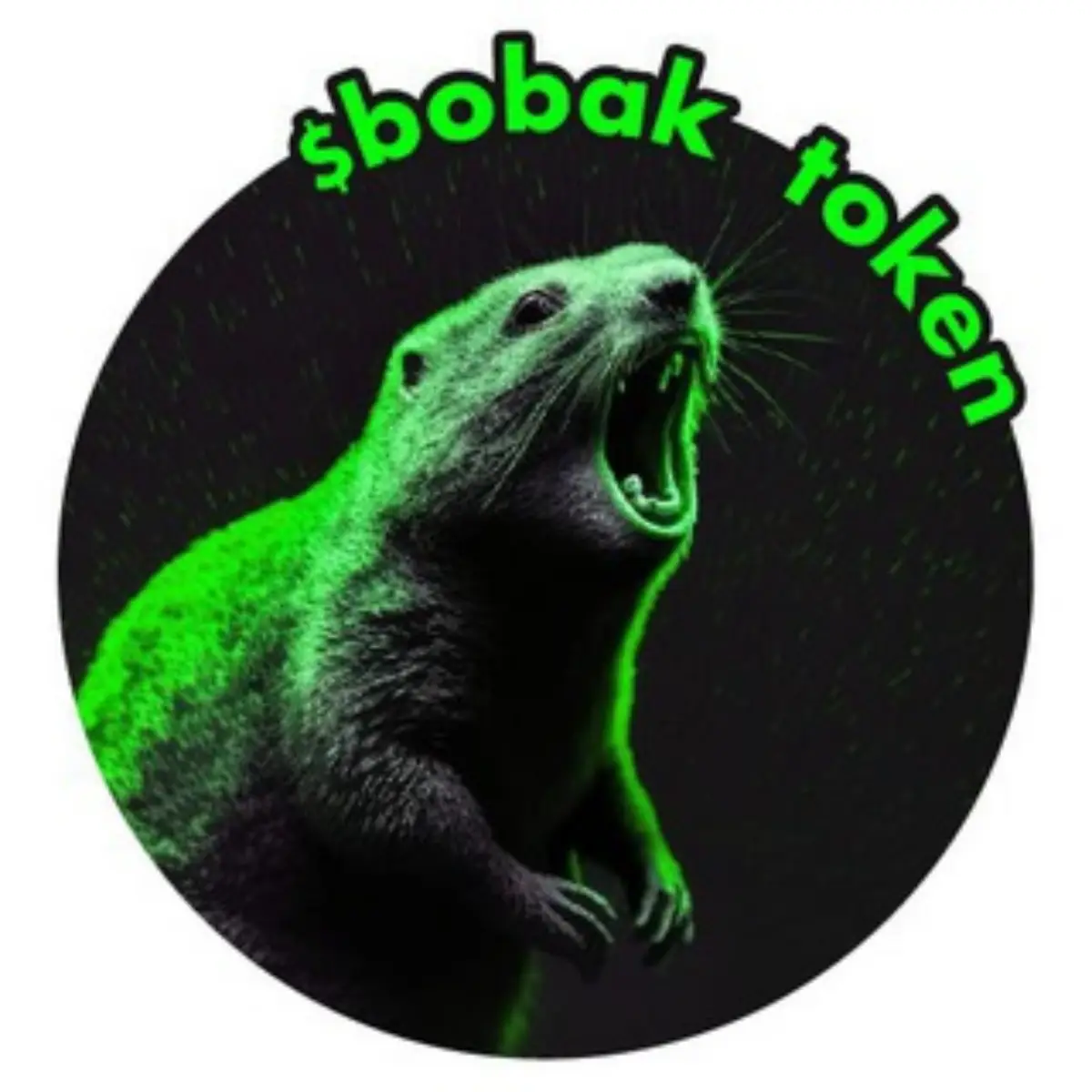 Bobak — криптопроект для желающих заработать или очередной скам?