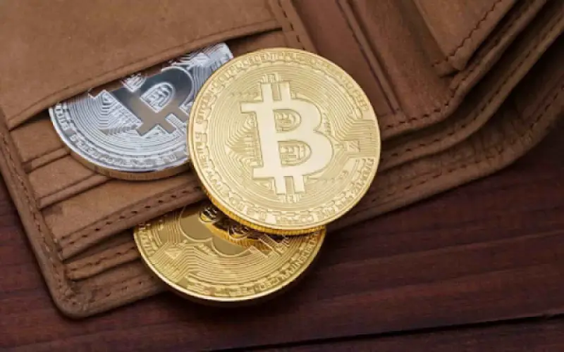 Как создать биткоин кошелек в 2024 году