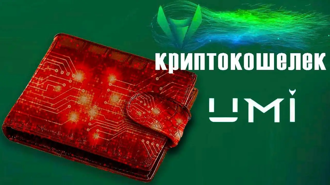 Как работает кошелек Umi Wallet — особенности, отзывы и инструкция по выводу