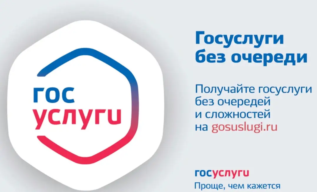 Лжебот «Госуслуг» обзор что известно? Лжебот «Госуслуг»