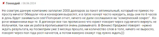 Phoenix Project развод, отзывы
